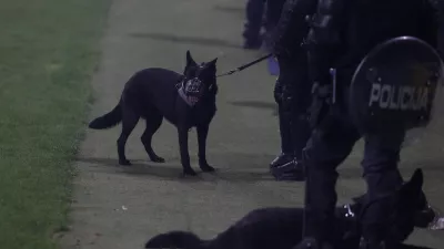 - Policija, policijski pes,,- 15.08.2026. - Nogomet Prva liga, NK Olimpija - NK Maribor.//FOTO: Bojan Velikonja