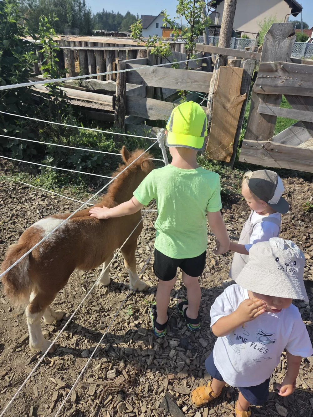 Mini ranč Negra: Iz ljubezni do živali ustvarja svoj mali svet
