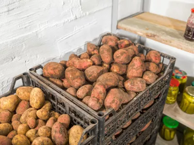 Pomembno je, kako skladi&scaron;čimo krompir. / Foto: Istock