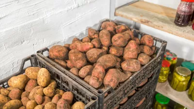 Pomembno je, kako skladi&scaron;čimo krompir. / Foto: Istock