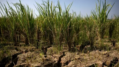 FILE PHOTO: Cracks appear on a paddy field in a drought-hit area during the dry season, amid forecasts that El Niño may contribute to drier-than-normal conditions, in Rido Galuh village, Bekasi regency, Indonesia, July 16, 2026. REUTERS/Willy Kurniawan/File Photo