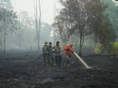 FILE - Firefighters spray water to put out wildfires burning through peatland forest in Kubu Raya, West Kalimantan, Indonesia, Sept. 12, 2026. (AP Photo/Tatan Syuflana, File)