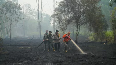 FILE - Firefighters spray water to put out wildfires burning through peatland forest in Kubu Raya, West Kalimantan, Indonesia, Sept. 12, 2026. (AP Photo/Tatan Syuflana, File)
