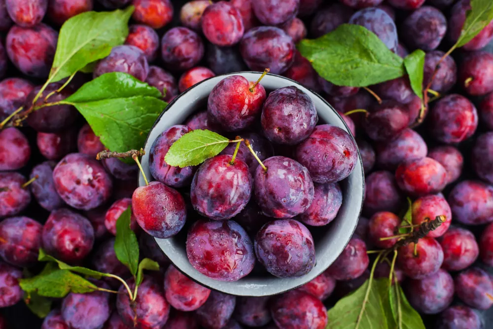 Sveže slive so že na tržnici in v trgovinah. / Foto: Istock