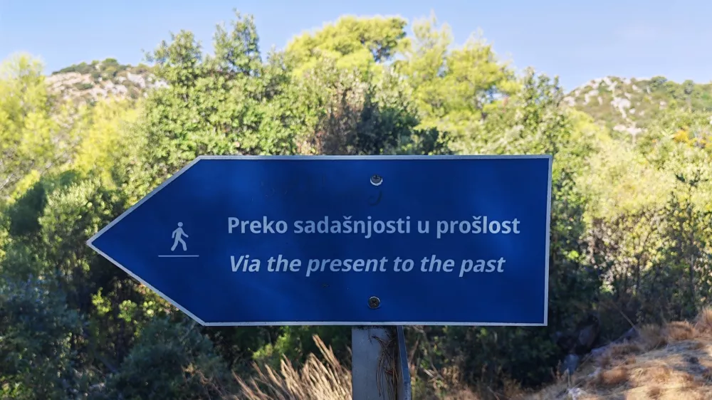 hh FIUH IUFHHF IPHF IHIUFH IQWH FIUEH IH UIhu hgiuw higulw / Foto: Andraž Polič