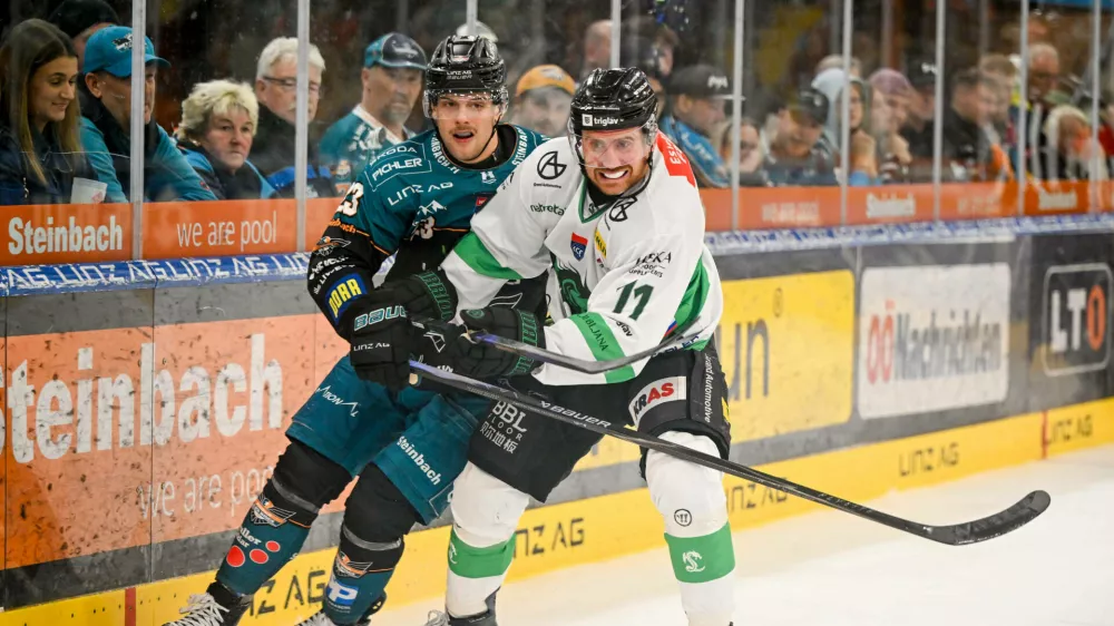 23.09.2026, Eishalle Linz, AUT, ICE Eishockey Liga, Black Wings Linz AUT vs HK Olimpija Ljubljana SLO, im Bild Patrick Soellinger Black Wings Linz vs Marley Qunice HK Olimpija Ljubljana // ICE win2day Hockey League Match between Black Wings Linz AUT vs HK Olimpija Ljubljana SLO in Linz, Austria on 2026/09/23 Linz Oberoesterreich Austria *** September 23, 2026, Linz Ice Arena, AUT, ICE Hockey League, Black Wings Linz AUT vs. HK Olimpija Ljubljana SLO pictured: Patrick Soellinger, Black Wings Linz vs. Marley Qunice, HK Olimpija Ljubljana. ICE win2day Hockey League match between Black Wings Linz AUT and HK Olimpija Ljubljana SLO in Linz, Austria on September 23, 2026, in Linz, Upper Austria, Austria,Image: 1137590438, License: Rights-managed, Restrictions:, Model Release: no 