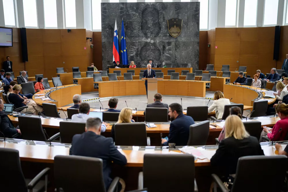 Izredna seja DZ, na kateri so med drugim obravnavali predlog sklepa o razpisu zakonodajnega referenduma o zakonu o interventnih ukrepih za razvoj Slovenije. Foto: STA / Foto: Jure Makovec/sta