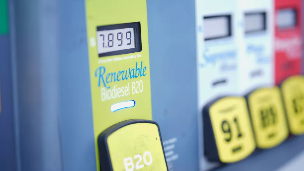 FILE -Diesel prices are displayed at a gas station Thursday, Sept. 10, 2026, in Carlsbad, Calif. (AP Photo/Gregory Bull, File)