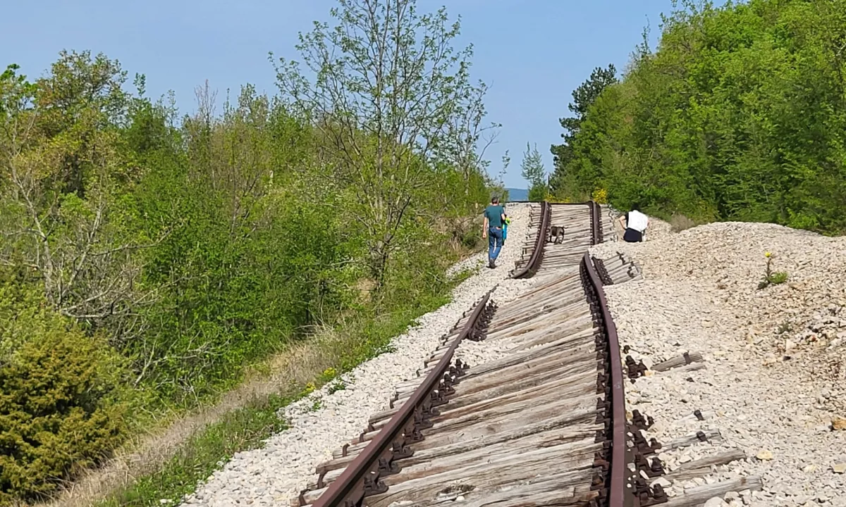 »Pijana proga« v zatonu: 143 kilometrov železnice zgradili v rekordnih dveh letih in pol