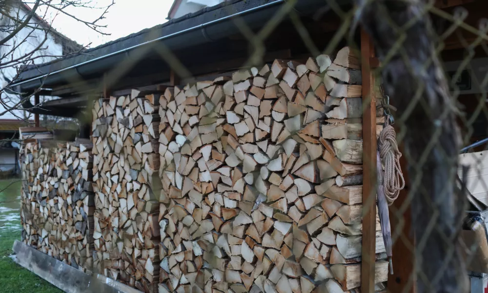 Kdor se &scaron;e ogreva na olje, bo letos drago plačal