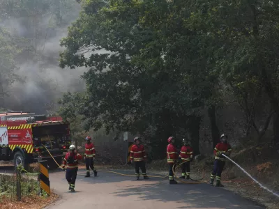 Firefighters work to put out flare-ups in the aftermath of a wildfire in Pereira, Cinfaes municipality, Portugal, July 31, 2025. REUTERS/Violeta Santos Moura