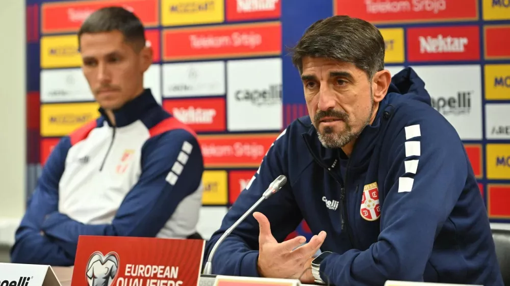 Veljko Paunović, Srbija