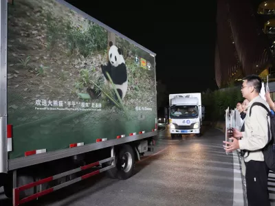 In this photo released by Xinhua News Agency, vehicles carrying a pair of giant pandas, Ping Ping and Fu Shuang, leave the Chengdu Research Base of Giant Panda Breeding in Chengdu, southwestern China's Sichuan Province, Saturday, Sept. 26, 2026.(Xu Bingjie/Xinhua via AP)