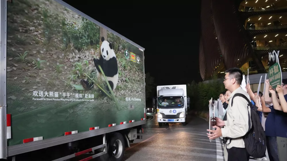 In this photo released by Xinhua News Agency, vehicles carrying a pair of giant pandas, Ping Ping and Fu Shuang, leave the Chengdu Research Base of Giant Panda Breeding in Chengdu, southwestern China's Sichuan Province, Saturday, Sept. 26, 2026.(Xu Bingjie/Xinhua via AP)