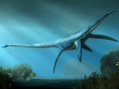 An elasmosaurus swims away from you in shallow seas. This long necked plesiosaur was an aquatic reptile that lived in the ocean during the Cretaceous period. 3D Rendering / Foto: Daniel Eskridge