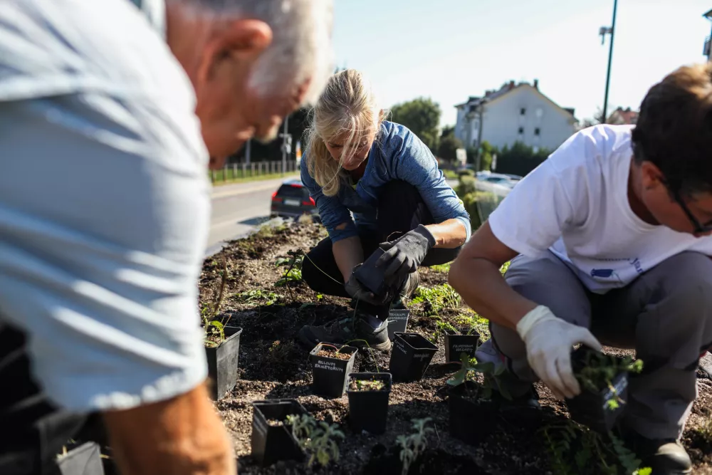 - ozelevanje stre&scaron;nika avtobusne postaje LPP Vi&scaron;ko polje na Cesti na Brdo v Ljubljani.- 29.09.2026. - Ozelevanje stre&scaron;nikov avtobusnih postaj LPP v Ljubljani.//FOTO: Bojan Velikonja