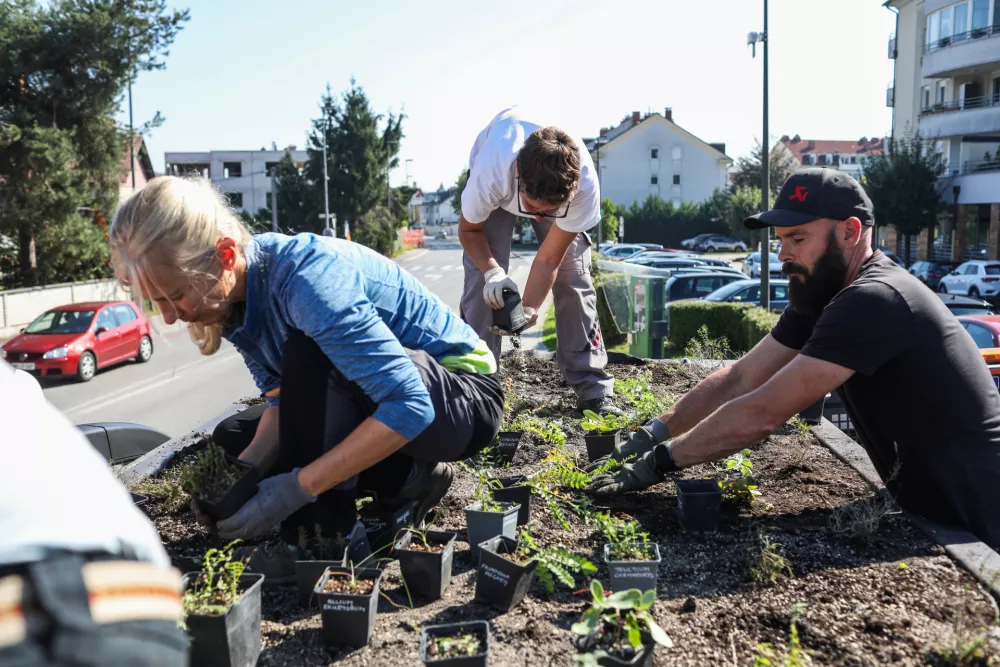 - ozelevanje stre&scaron;nika avtobusne postaje LPP Vi&scaron;ko polje na Cesti na Brdo v Ljubljani.- 29.09.2026. - Ozelevanje stre&scaron;nikov avtobusnih postaj LPP v Ljubljani.//FOTO: Bojan Velikonja
