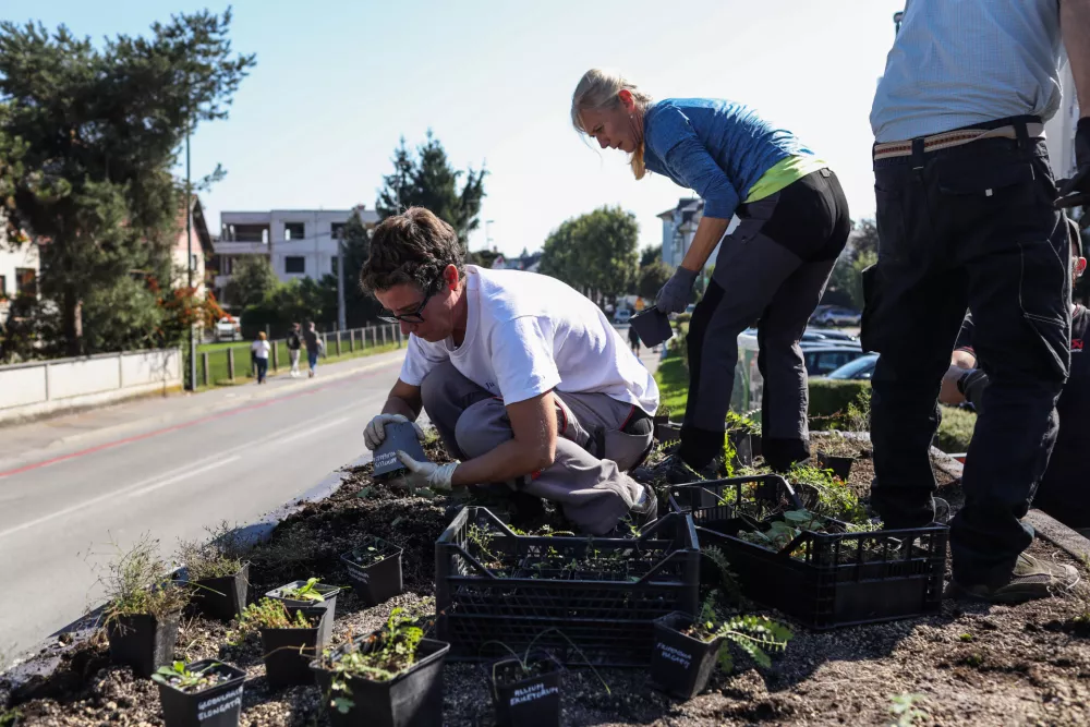 - ozelevanje stre&scaron;nika avtobusne postaje LPP Vi&scaron;ko polje na Cesti na Brdo v Ljubljani.- 29.09.2026. - Ozelevanje stre&scaron;nikov avtobusnih postaj LPP v Ljubljani.//FOTO: Bojan Velikonja