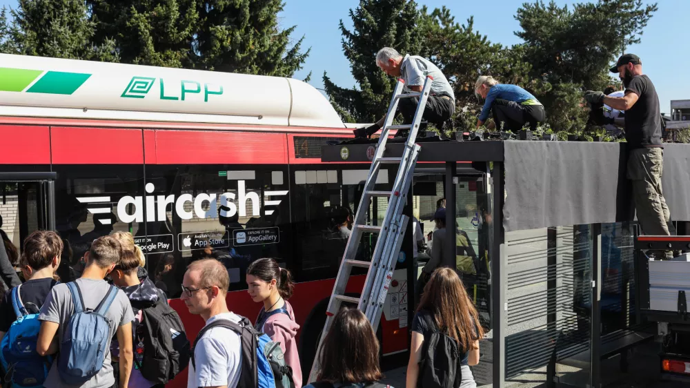- ozelevanje stre&scaron;nika avtobusne postaje LPP Vi&scaron;ko polje na Cesti na Brdo v Ljubljani.- 29.09.2026. - Ozelevanje stre&scaron;nikov avtobusnih postaj LPP v Ljubljani.//FOTO: Bojan Velikonja