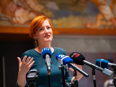 Ljubljana, DZ.Izjava za medije vodje poslanske skupine Levica Aste Vrecko ob robu redne seje DZ.