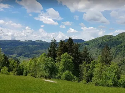 narava sonce pomlad travnik gozd simbolična fotografija