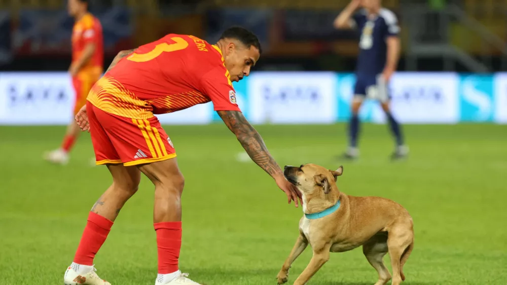 Soccer Football - Nations League - Group B1 - North Macedonia v Scotland - National Arena Todor Proeski, Skopje, North Macedonia - October 3, 2026 North Macedonia's Sebastian Herrera reacts to a dog on the pitch during the match REUTERS/Ognen Teofilovski   TPX IMAGES OF THE DAY