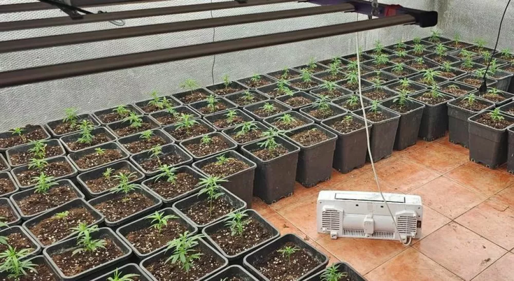 V obsežni mednarodni akciji so zasegli droge in orožje.