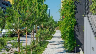 Okolica soseske Kvartet je namenjena ljudem in zelenim povr&scaron;inam. (Foto: Corwin SI)