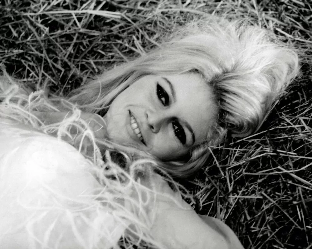 France - December 28, 2025.Brigitte Bardot, French screen legend, dies aged 91.Two Weeks in September',Image: 1061976523, License: Rights-managed, Restrictions: * France, Germany and Italy Rights Out *, Model Release: no
