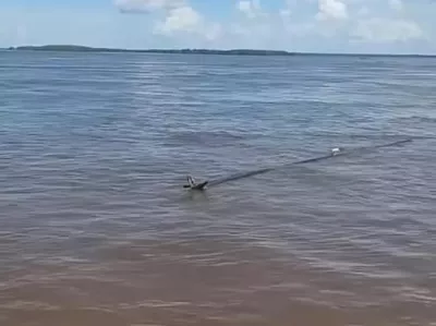 Sredi Amazonke so naleteli na psa.