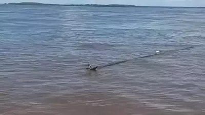 Sredi Amazonke so naleteli na psa.
