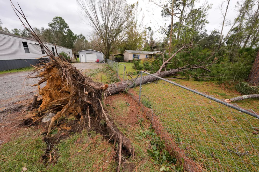 Downed trees are seen in lawns in the aftermath of Hurricane Isaias in Milton, Fla., Saturday, Oct. 10, 2026. (AP Photo/Gerald Herbert)