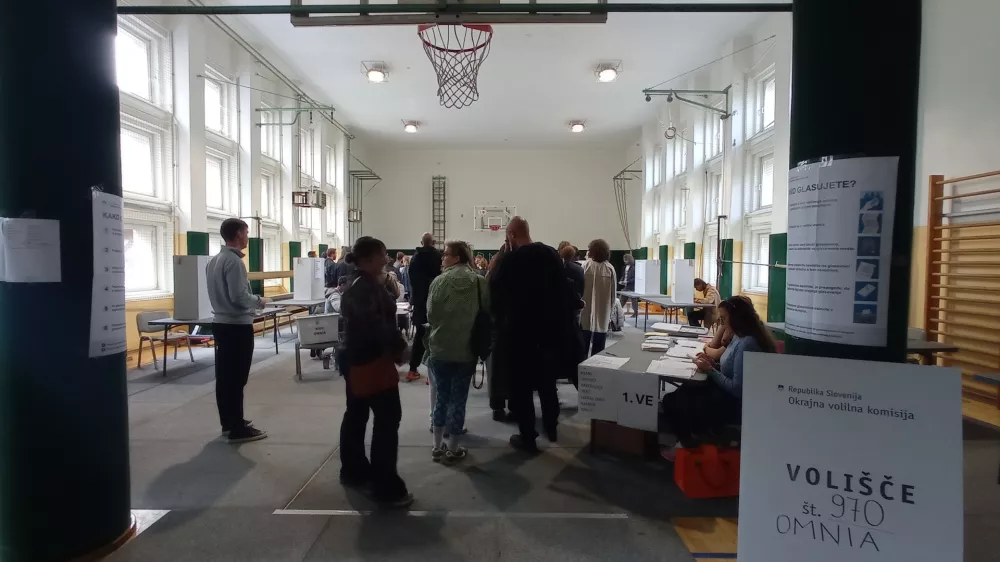 Volitve, &scaron;tirje referendumi