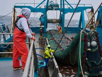 Crew members haul in a catch aboard the F/V Progress in the Bering Sea off the coast of Alaska, Wednesday, July 22, 2026. (AP Photo/Annika Hammerschlag)