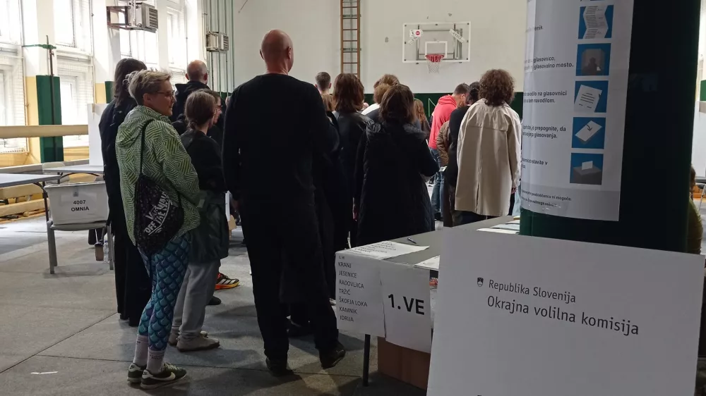 Volitve, &scaron;tirje referendumi