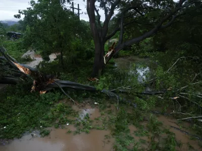 A toppled tree as Hurricane Simon approaches Mexico's Pacific coast in Costalegre, Jalisco state, Mexico, October 11, 2026. REUTERS/Daniel Becerril