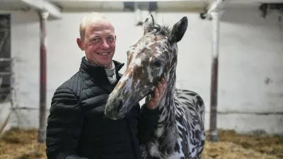 PRODUCTION - 08 October 2026, Brandenburg, Fehrbellin: Steffen Krehl stands next to his foal, J-Nimon K. The zebra-like piebald foal was sold to Dubai for 75,000 euros at a horse auction in Vienna. Photo: Sven Kaeuler/dpa,Image: 1141737011, License: Rights-managed, Restrictions: GERMANY OUT, Model Release: no 