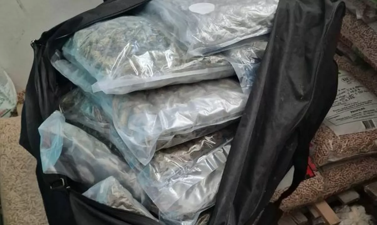 Kriminalisti v obsežni mednarodni kriminalistični preiskavi preprečili prodajo več sto milijonov vrednih prepovedanih drog