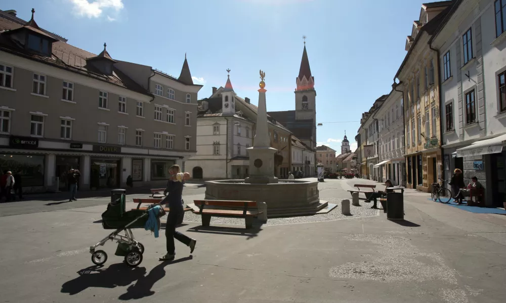 Mestna občina Kranj ///FOTO: Luka Cjuha
