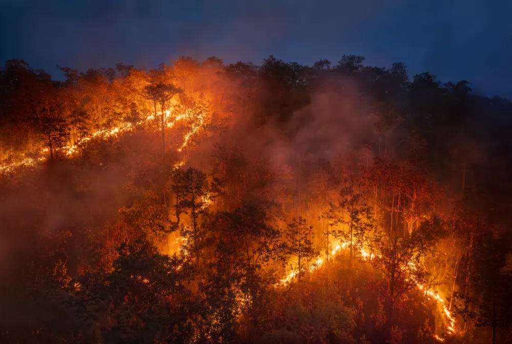 Ponekod je naslednje leto pričakovati več su&scaron;e in požarov v naravi. Za na&scaron;e kraje pa to ni nujno tako. / Foto: Istock