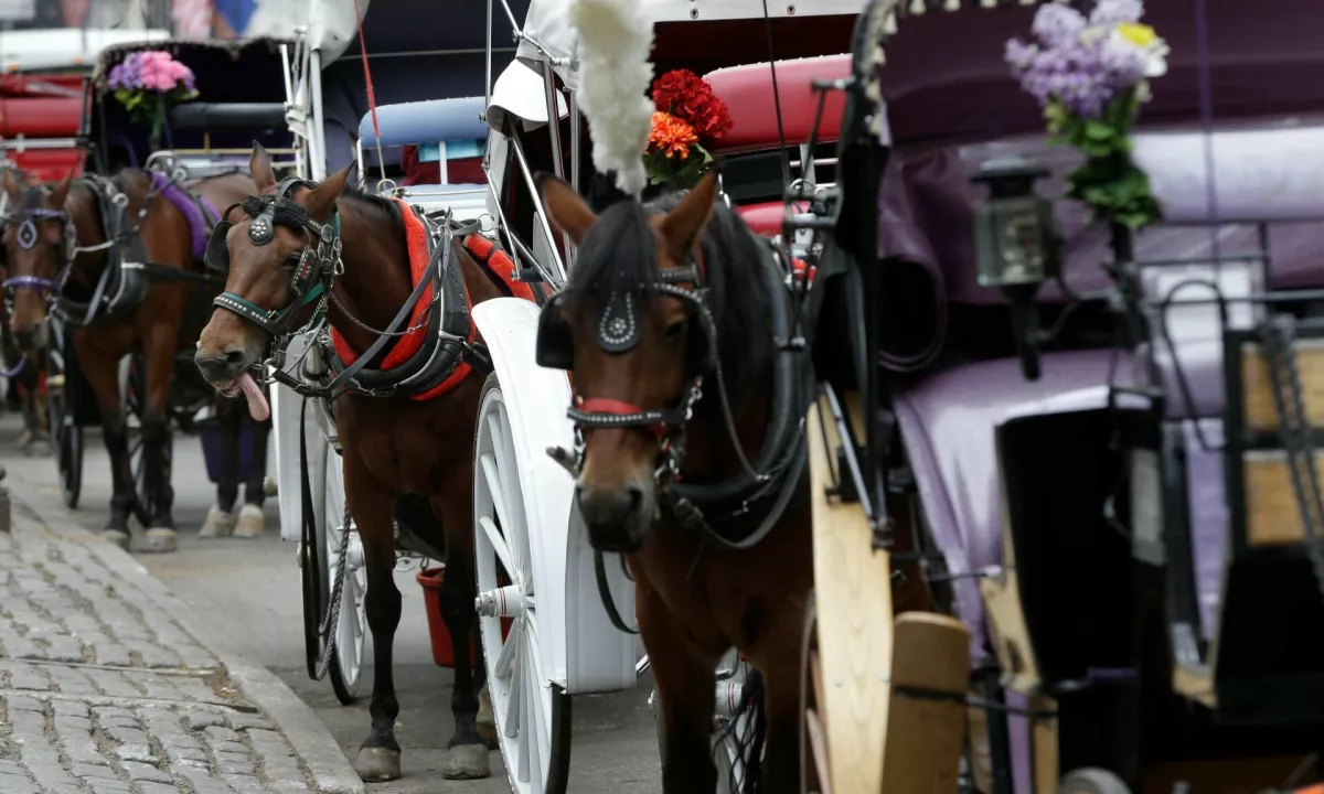 Tradicija, dolga 150 let, postaja preteklost: New York ukinja vožnje s konjskimi vpregami