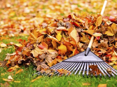 Pospravljanje jesenskega listja. / Foto: Istock