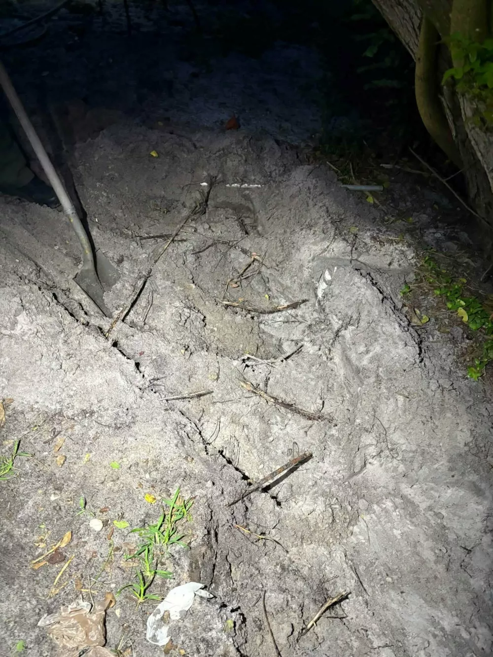 Ženska je zakopala živi mucki.