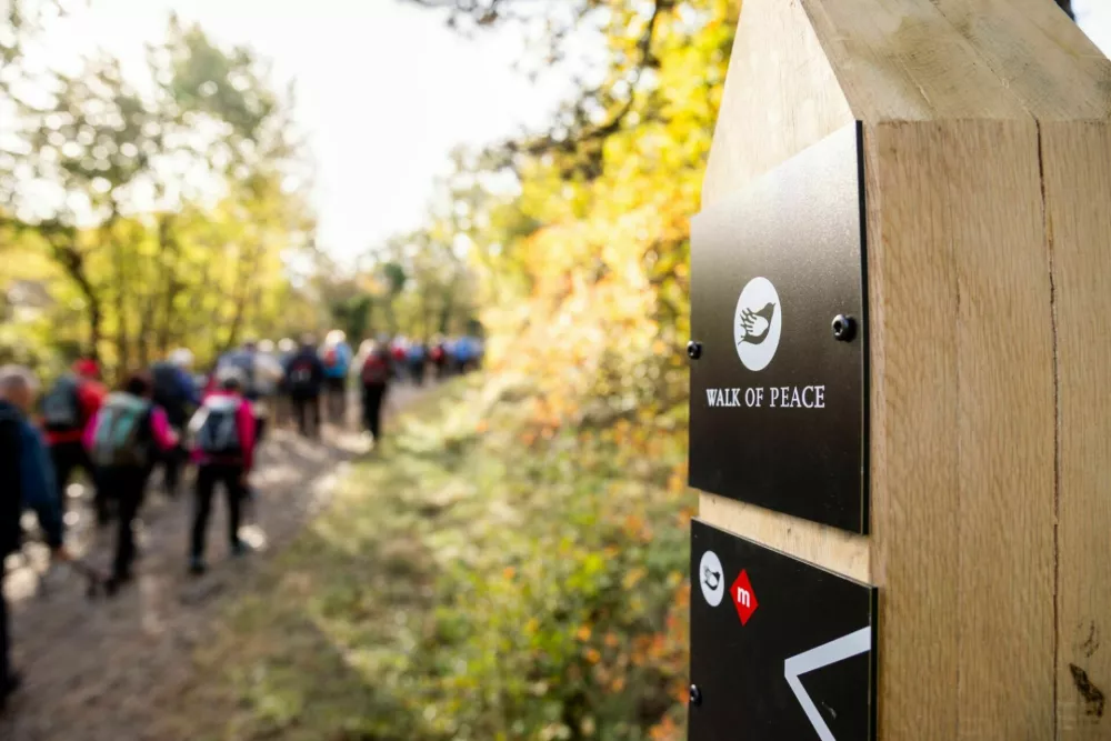 Občina Komen je lani v okviru projekta WALKofPEACE+ &ndash; čezmejni Muzej na prostem Grmada, ki je del Poti miru od Alp do Jadrana, celovito uredila območje Grmade. F TD Brestovica