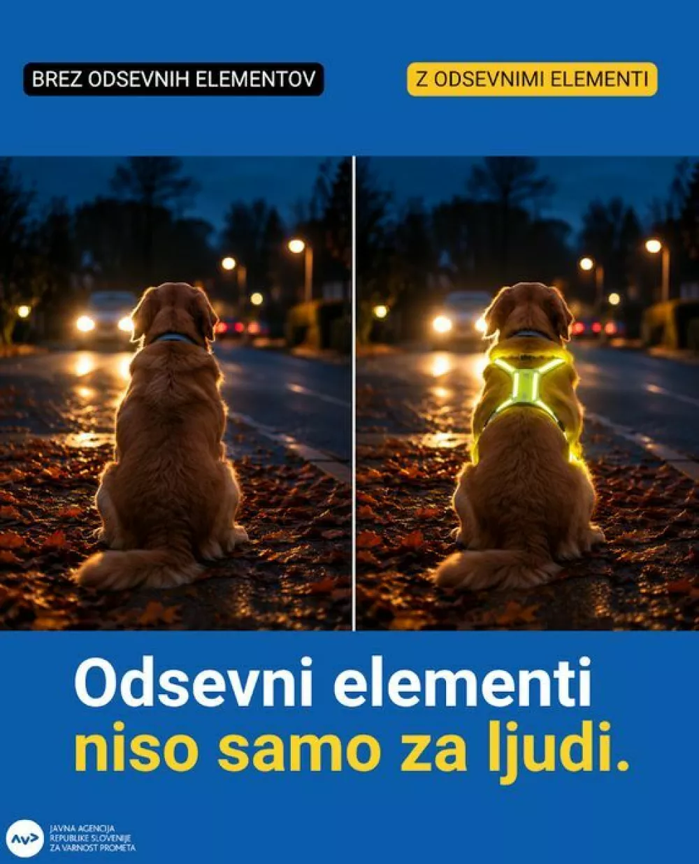 V prometu morajo biti vidne tudi živali. 