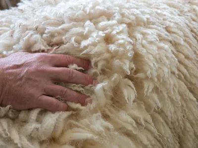 Volna je čudež narave. / Foto: Istock