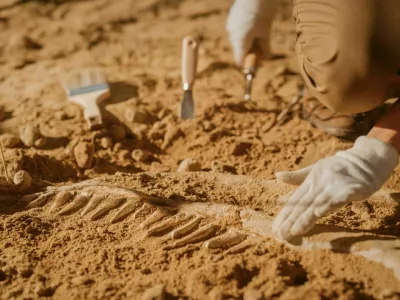 Portrait of Beautiful Paleontologist Cleaning Tyrannosaurus Dinosaur Skeleton with Brushes. Archeologists Discover Fossil Remains of New Predator Species. Archeological Excavation Digging Site / Foto: Gorodenkoff