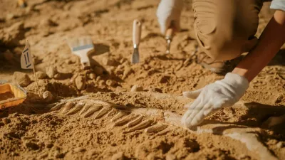Portrait of Beautiful Paleontologist Cleaning Tyrannosaurus Dinosaur Skeleton with Brushes. Archeologists Discover Fossil Remains of New Predator Species. Archeological Excavation Digging Site / Foto: Gorodenkoff