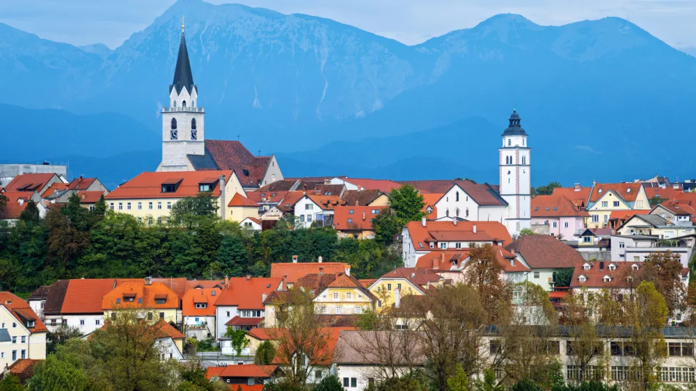Mesto Kranj, proračun