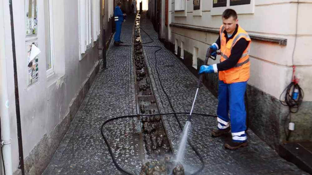 V sredi&scaron;ču Ljubljane spomeniki oči&scaron;čeni, v &Scaron;i&scaron;ki pa skriti v grmovju